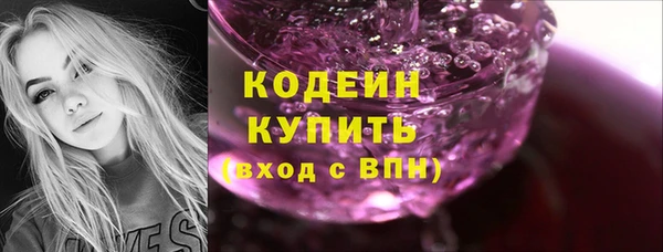 твердый Абаза