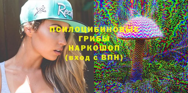 твердый Абаза