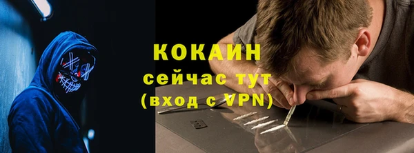 индика Абинск