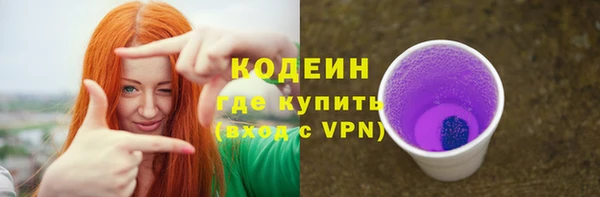 индика Абинск