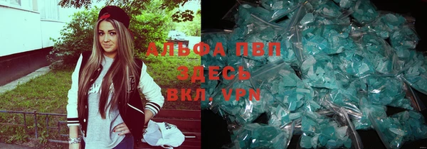 индика Абинск