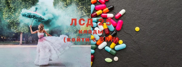 индика Абинск